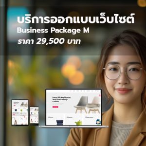 Web design : Business Package M